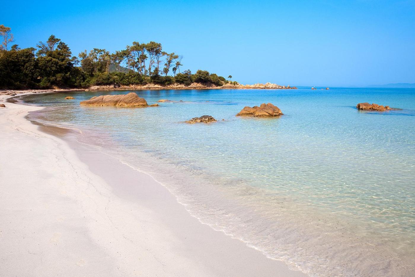 Studio Rue Pietonne Ajaccio أجاكسيو المظهر الخارجي الصورة