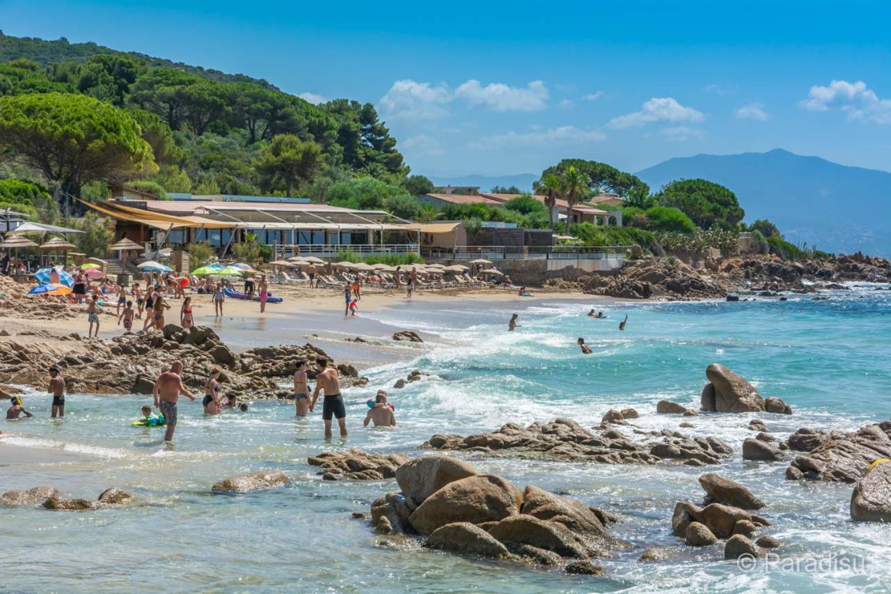 Studio Rue Pietonne Ajaccio أجاكسيو المظهر الخارجي الصورة